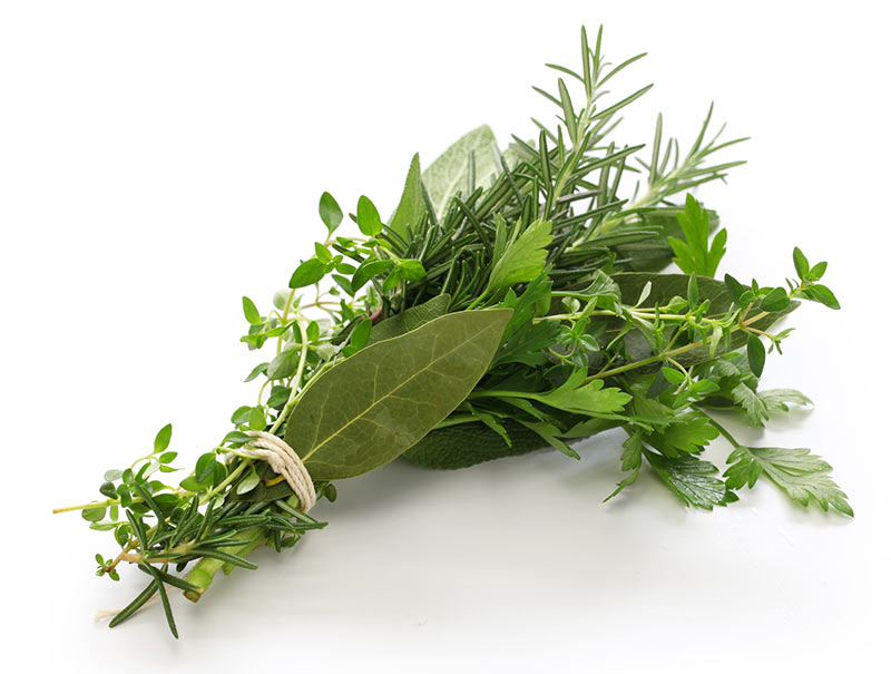 fresh herb bunch