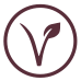 vegetarian dish